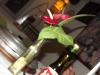 2012-04-06 23:04:48