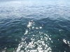 2012-04-07 12:29:21