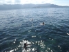 2012-04-07 12:34:16