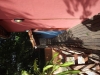 2012-04-09 08:38:06