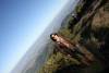 2011-05-22 17:00:42