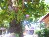 2006-01-22 14:44:14