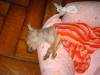 2005-01-12 21:26:57