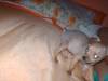 2005-01-13 16:08:40