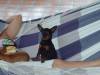 2005-02-06 01:39:46