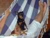 2005-02-06 01:40:40