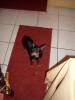 2008-01-07 22:08:56