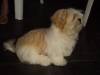 2009-12-25 17:56:30