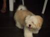 2009-12-25 17:56:40