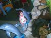 2005-03-13 22:44:22
