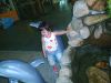 2005-03-13 22:44:31