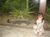 2007-03-11 20:20:47
