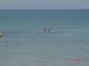 2007-03-12 12:28:34