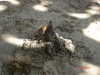 2007-03-12 14:18:27