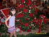 2010-12-10 13:15:20