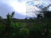 2005-07-08 11:58:16