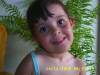 2008-12-24 08:33:37