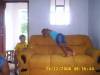 2008-12-24 08:36:44